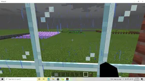 rain