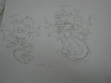 Dragon OC's