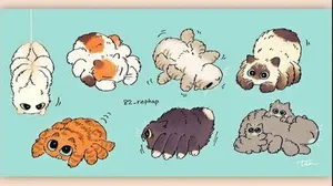 Spiderkitties