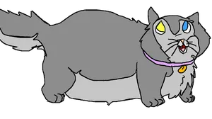 Meow!
