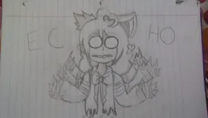 E C H O