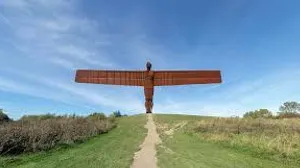 What I think of when i hear T pose