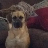 Please stop staring at me daughter. You're making your father uncomfortable