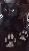 I love my cat Salem like omg the look at he beans got me dead 😭🙏