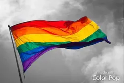 good to know that even if things look grey and down, our community is stil colorful and up