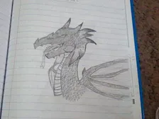 i drew a dragon :3 PLZ RATE