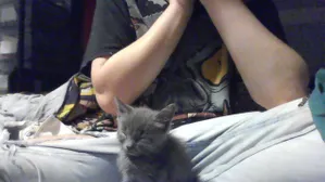 antonio <3