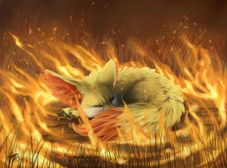 Ring of Fire