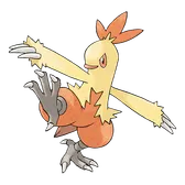 Torchics evolution I  weird-