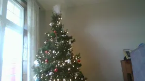 christmas tree