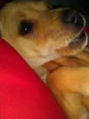 1.