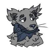 more wolf boy
