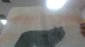 My drawing