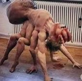 TF IS THIS!?!