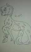 For @LilGaster