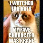 grumpy cat lab rats :)