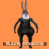 I made a thing