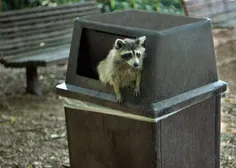 I felt cute in this pic but idk might delete later