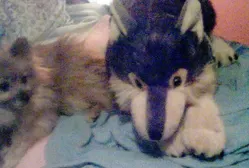Roo's Recation to Alfred: 10/10