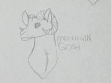 i drew a mountain goat :D