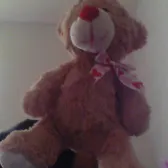 LESBIAN BEAR- *the bow*