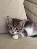 Look at my cute lil child