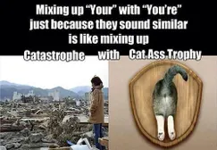 I just found this funny for some reason. XD