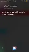 The fûck Siri? ?