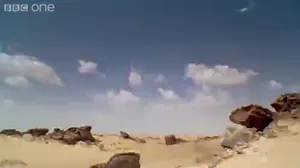 Angry screaming Jotaro