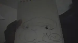 I'm drawing a frog with mushroom hat and snail friend