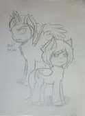 Mlp Seg & Dark.