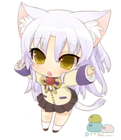 NEKO'S ! NEKO'S !