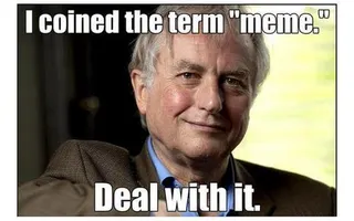 MEMES! MEMES!