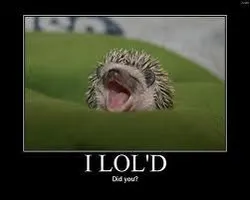 THE LOL PAGE :D THE LOL PAGE :D