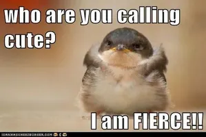 Adorable & Funny Animal Pictures! Adorable & Funny Animal Pictures!
