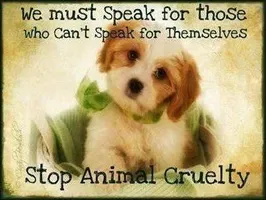 Stop The Abuse! Stop The Abuse!