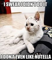 Funny Pics:) Funny Pics:)