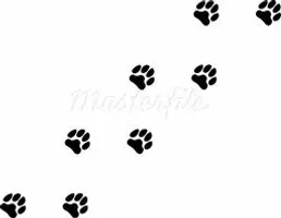 Puppy page