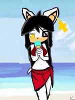 Sonic fan characters goes to the beach! Sonic fan characters goes to the beach!