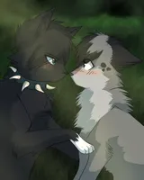 Duskclan and Hiddenclan cats Duskclan and Hiddenclan cats