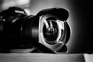 Photography Blurbs