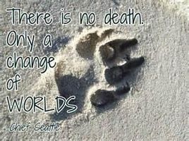 Rest in Peace, Little Pets. Rest in Peace, Little Pets.