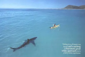 Worst fears Worst fears