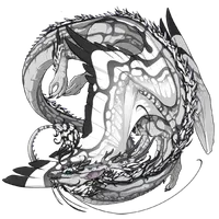 Matthew's Dragons