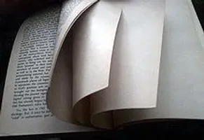 The ultimate Page The ultimate Page