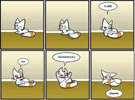 Cat Moments Cat Moments