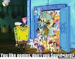 Pony fan club Pony fan club