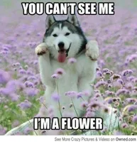 Quotes, pics, anything awsome and anything funny Quotes, pics, anything awsome and anything funny