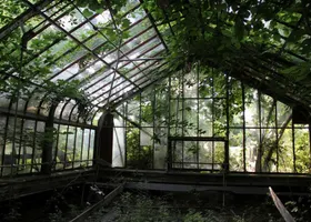 abandoned greenhouses because aesthetic abandoned greenhouses because aesthetic