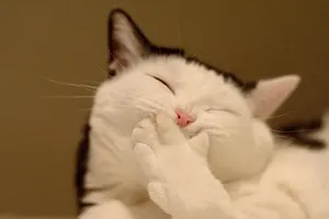 funny moments... funny moments...